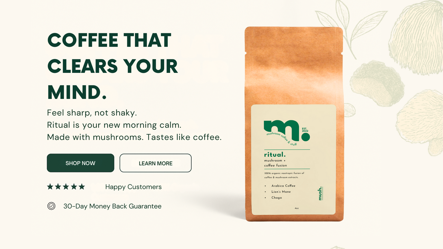 RITUAL - Mushroom Coffee Fusion - Lion’s Mane & Chaga 16oz