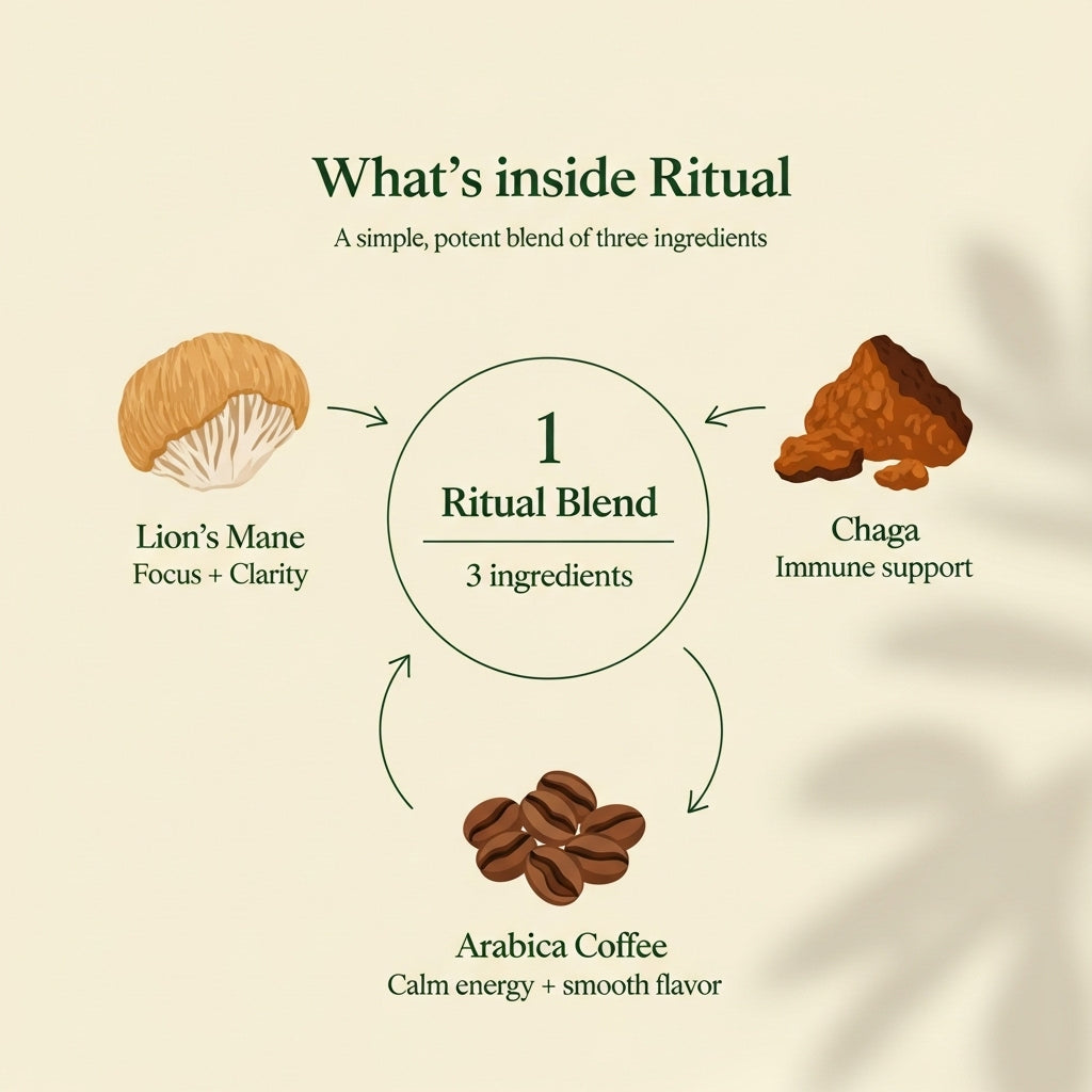 RITUAL - Mushroom Coffee Fusion - Lion’s Mane & Chaga 16oz